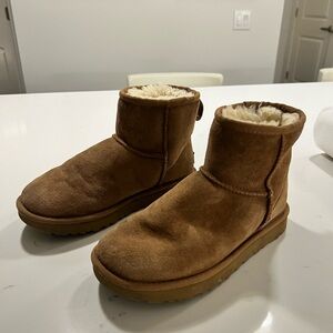Classic mini chestnut Uggs
